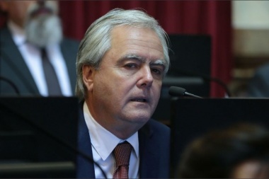 Pinedo respaldó a Garavano: "Se ha abusado de la prisión preventiva"