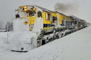 Anuncian el regreso del tren Buenos Aires - Bariloche