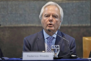 Pinedo: "Milei tiene que desarmar la bomba y evitar una hiperinflación"