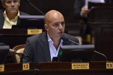 Piden por ley, la pavimentación del camino que une Tres Lomas con Pellegrini