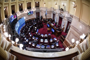 El Senado debate modifica el Impuesto a los Bienes Personales