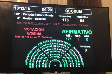Ley Micaela: Diputados aprobó la capacitación contra la violencia de género