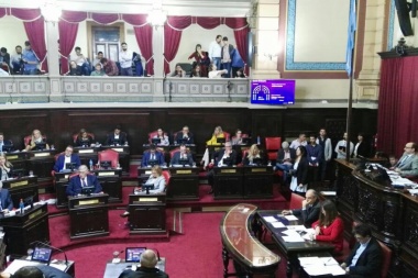 El Senado sancionó la adhesión a la “Ley Micaela”