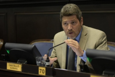 Castello presentó un proyecto para sacarles los planes sociales a los “piqueteros”