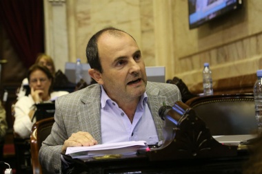 Diputado radical pidió que le habiliten las PASO a Lousteau en Cambiemos