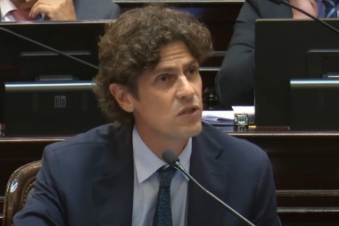 Lousteau argumentó su voto negativo: "El DNU es inconstitucional"