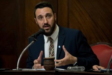 Lanaro presentó un proyecto de ley para habilitar el uso de armas Taser