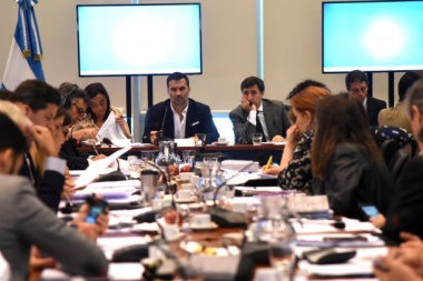 El oficialismo busca aprobar hoy la Ley de Solidaridad Social en Diputados