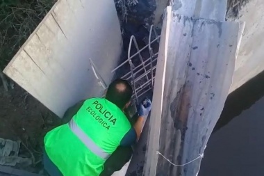 Clausuraron una papelera que contaminaba el Arroyo El Gato