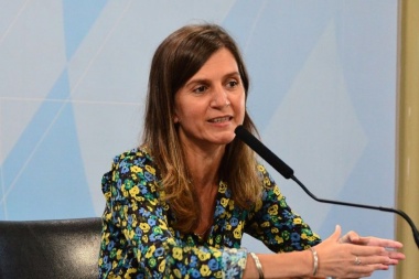 Raverta defendió el "Plan de pago de deuda Previsional" en Diputados