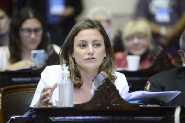 Para Siley, el juicio político contra Rosatti es necesario “para defender la democracia”