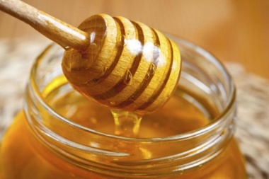 Proponen fomentar el consumo de miel e impulsar la apicultura bonaerense