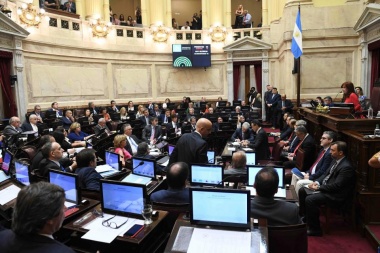 El Senado sancionó la Ley de Góndolas