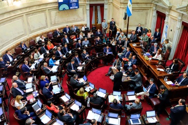 El Senado aprobó la ley de Solidaridad Social y Reactivación Productiva