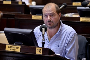 Los diputados de "Cambio Federal" piden "madurez" para mejorar la Ley Impositiva