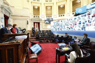 El Senado inició la primera sesión virtual por el Coronavirus