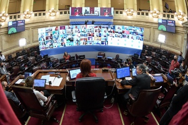 El Senado debate la nueva Ley de Alquileres y la de Educación a Distancia