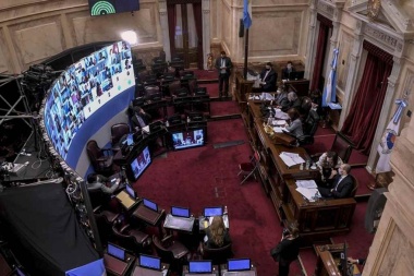 La Reforma Judicial obtuvo media sanción en el Senado