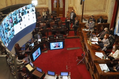El Senado trata el proyecto de ley que reduce la coparticipación a la Ciudad
