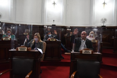 Aprueban ordenanza que protege a los animales y garantiza la castración gratuita