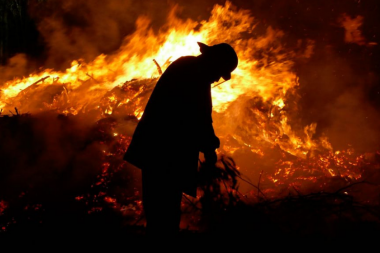 Diputados aprueban el proyecto que protege los ecosistemas de los incendios y prohíbe la venta de terrenos quemados
