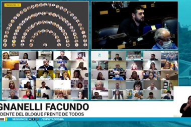 Legislatura bonaerense: sancionarán las emergencias en geriátricos y de género