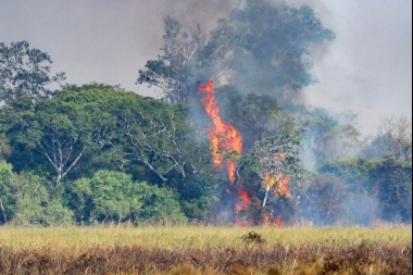 Corrientes: los incendios arrasaron con el 10% del territorio