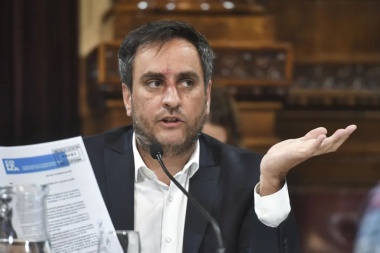 Cabandié: "La Justicia debería sancionar a los responsables que producen las quemas"