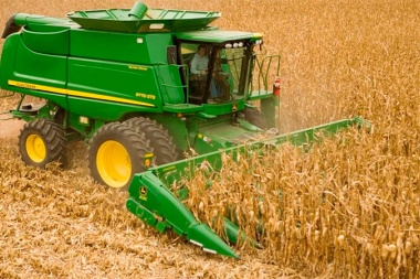 Para priorizar al mercado interno, el Gobierno cerró las exportaciones de maíz