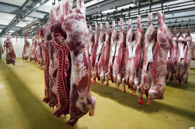 Suspenden la exportación de carne