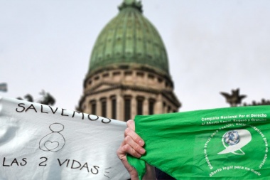 Diputados trata los proyectos de legalización del aborto y del "Plan de los 1000 días"