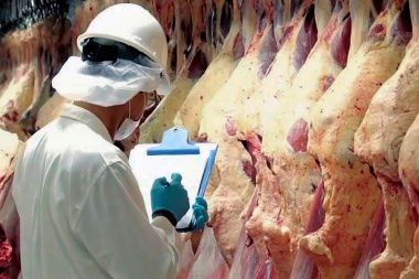 Suspenden las exportaciones de siete cortes parrilleros por dos años