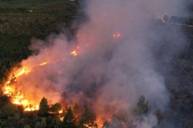Persisten los incendios forestales en Chubut y Río Negro