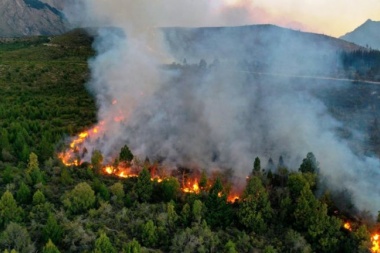 Decretan "emergencia ígnea" por los incendios en el país