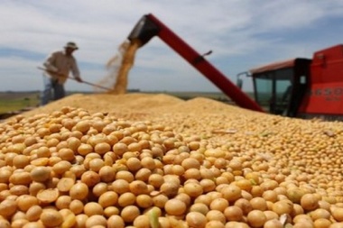 Fernández responsabilizó a las cerealeras por el retraso en la aplicación del fideicomiso de trigo