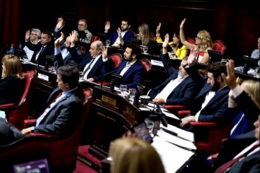 Senadores bonaerenses de Juntos repudiaron los hechos de violencia en Lomas de Zamora