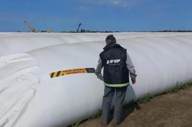 La AFIP detectó 920 toneladas de maíz sin declarar en Olavarría