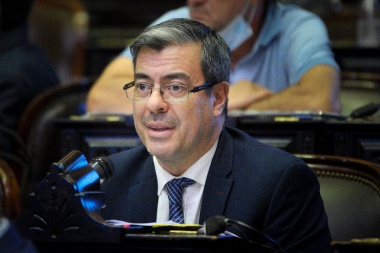 Germán Martínez a Milei: "Con respeto y convicción, le pido que frene el DNU preanunciado"