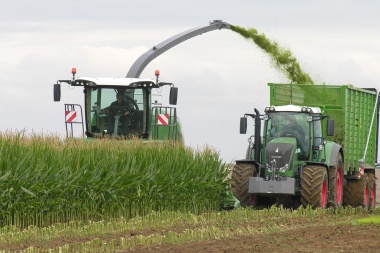 España y Francia le proponen a la UE comprarle cereales a Argentina