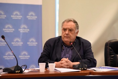 Valdés defendió a la diputada Zaracho y pidió "no buscar inocentes que paguen por culpables"