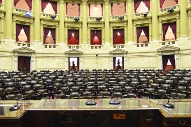 Zago: "Todavía no se decidió quién presidirá la Cámara de Diputados"
