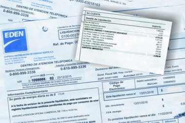 Prorrogaron la eliminación de las tasas en las boletas de luz hasta enero