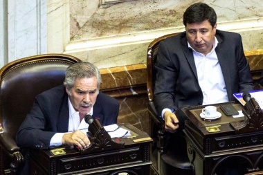 El flamante bloque de Solá debuta votando en contra del Presupuesto de Macri