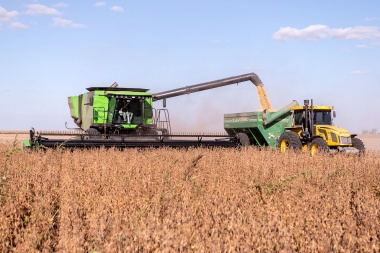 Agroexportadores liquidaron US$ 35,4 millones con el dólar agro