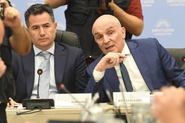 Espert aseguró que la oposición dialoguista votará las facultades delegadas