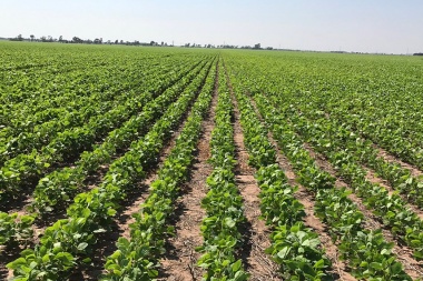 El Ministerio de Desarrollo Agrario asistirá de manera directa a 2400 productores agroecológicos