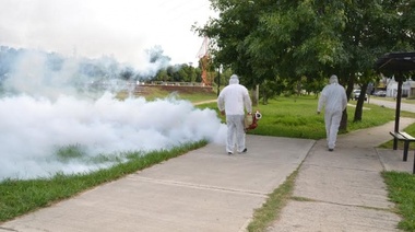Berisso, realizan tareas de fumigación en el canal de la Avénida Génova