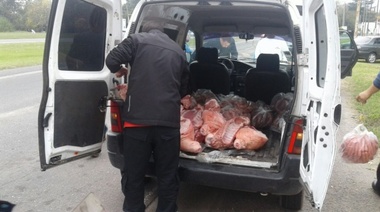 La Plata: Decomisan más de 300 kilos de carne de cerdo