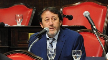 Lo que opina Vidal y lo que dice la Constitución