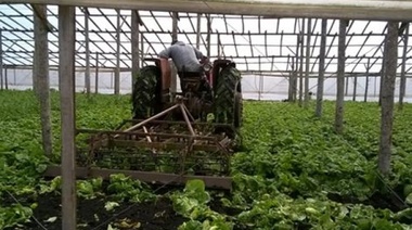 Cubría: “La ley de Agricultura Familiar es una victoria para los trabajadores rurales”